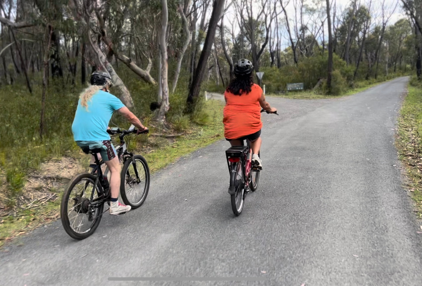 Bundanoon Ebike Rental and Self Guided Tour